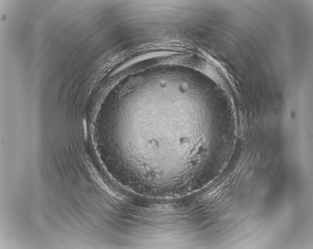 X0000059240061200510141113