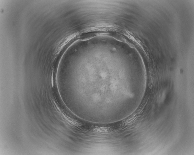 X0000059240062200510141113