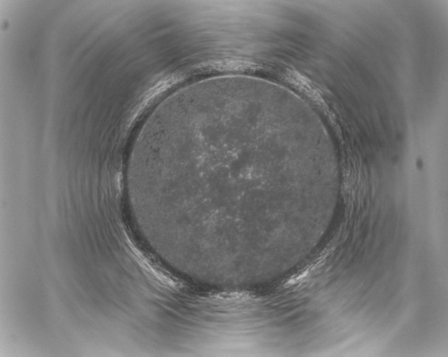 X0000059240063200510141113