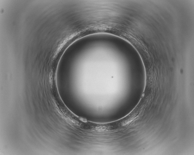 X0000059240064200510141113