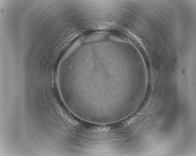 X0000059240065200510141113