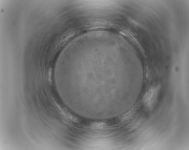 X0000059240066200510141113