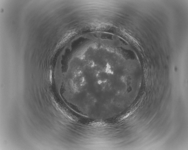 X0000059240067200510141113