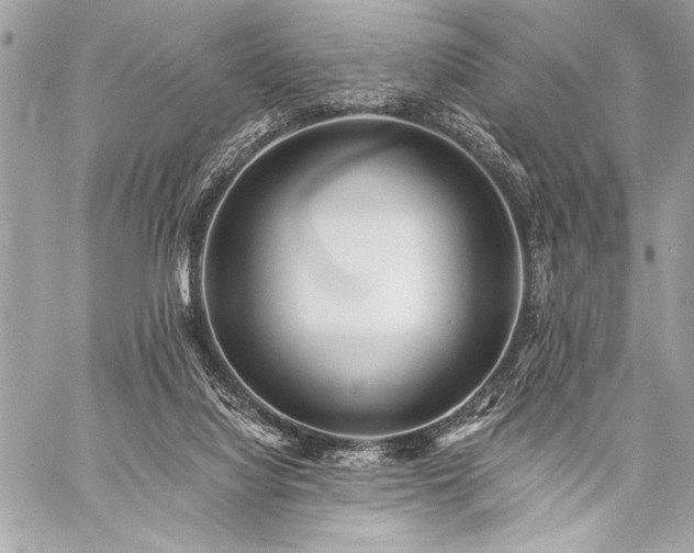 X0000059240068200510141113