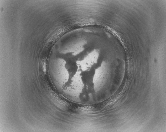 X0000059240069200510141113