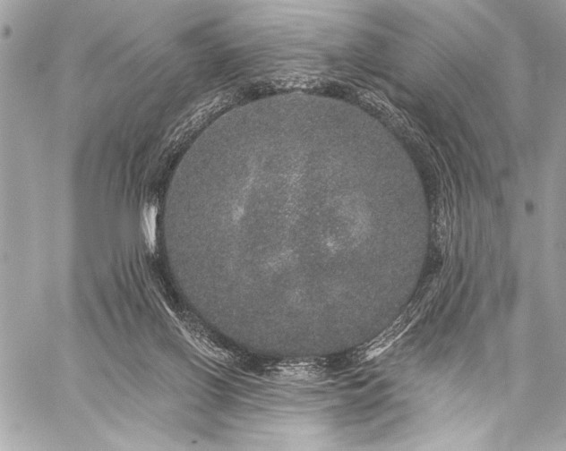 X0000059240070200510141113