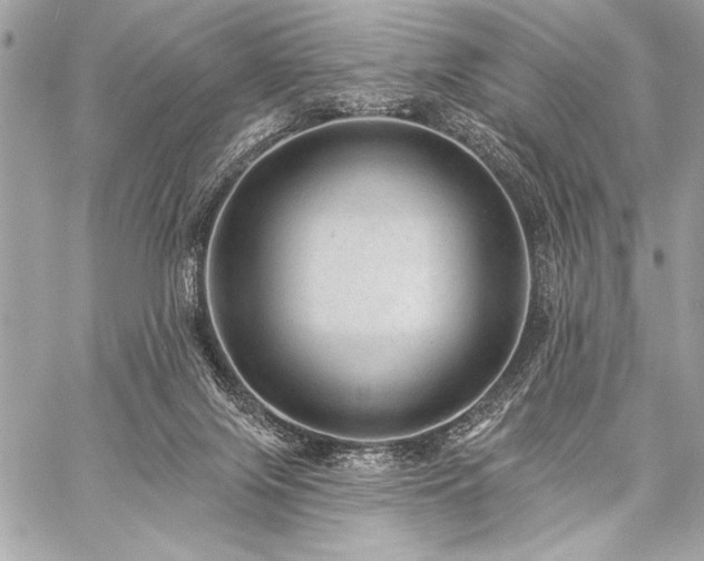 X0000059240071200510141113