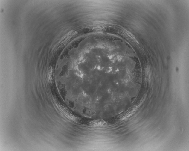 X0000059240073200510141113