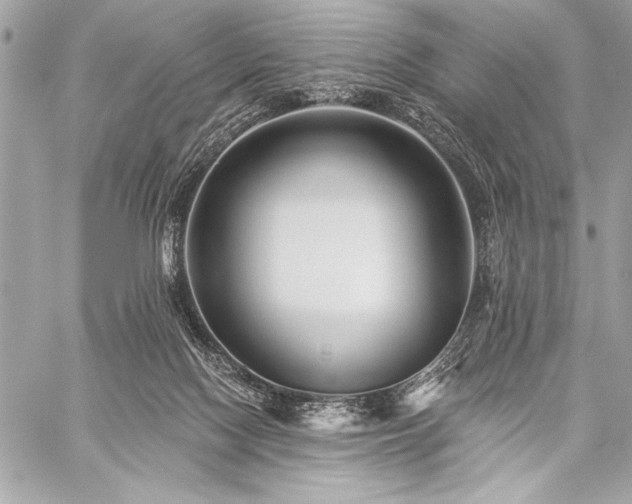 X0000059240074200510141113