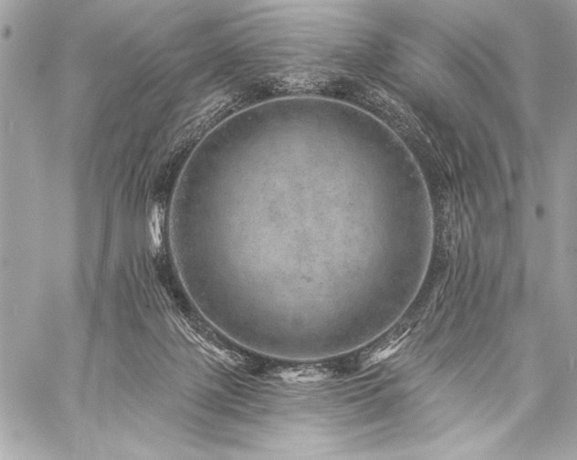 X0000059240075200510141113