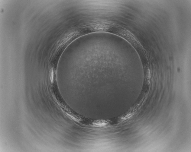 X0000059240076200510141113