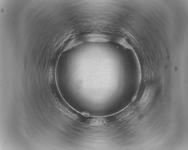 X0000059240077200510141113