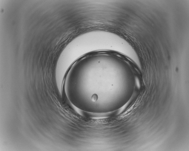 X0000059240078200510141113