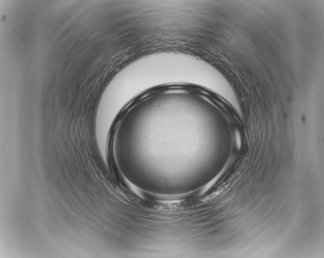 X0000059240079200510141113