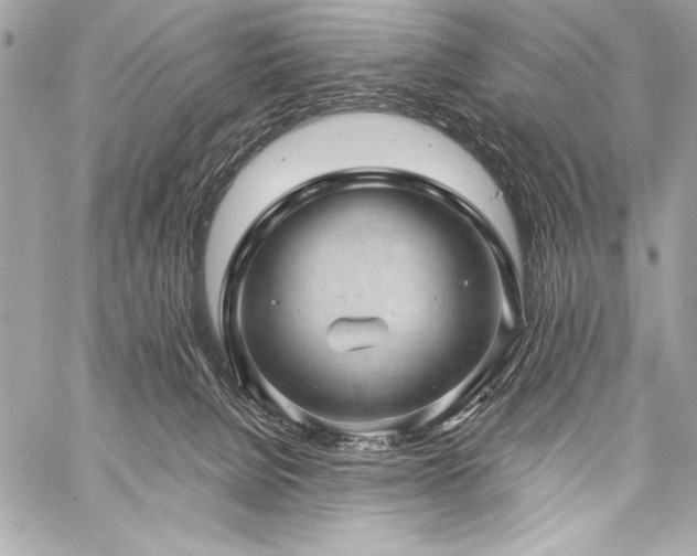 X0000059240080200510141113