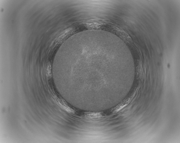 X0000059240081200510141113