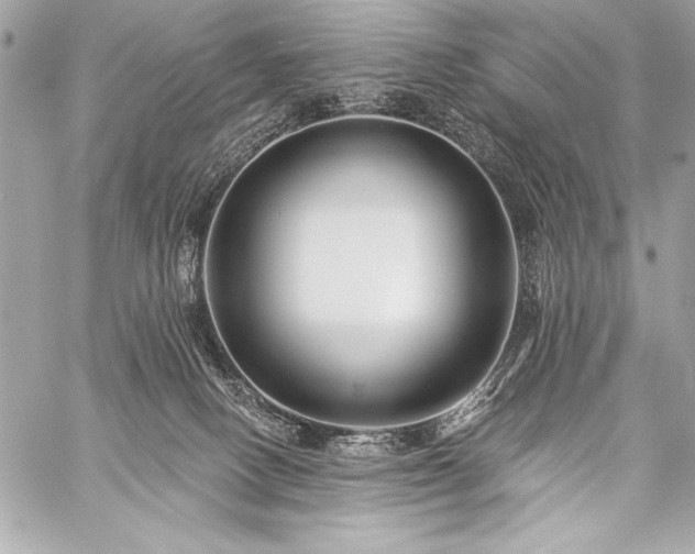 X0000059240082200510141113