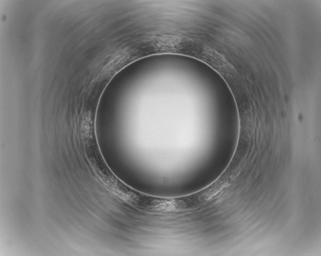 X0000059240083200510141113