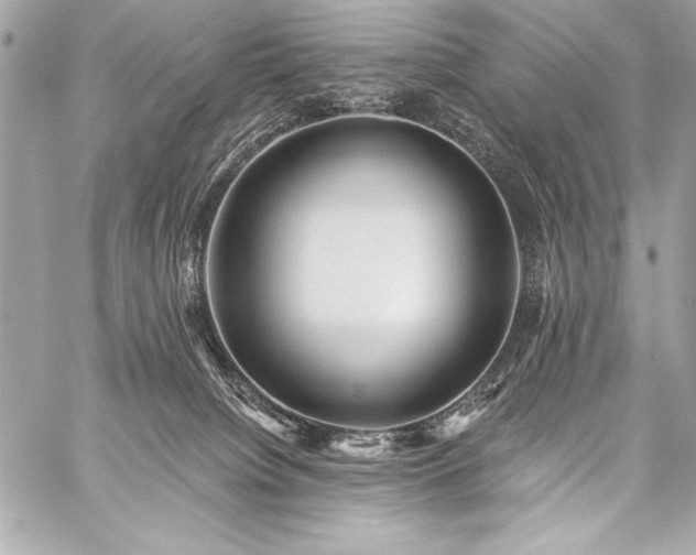 X0000059240084200510141113