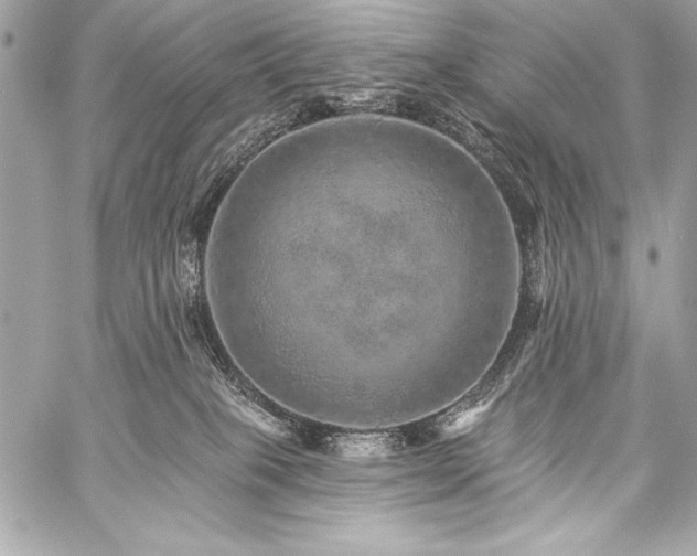 X0000059240085200510141113