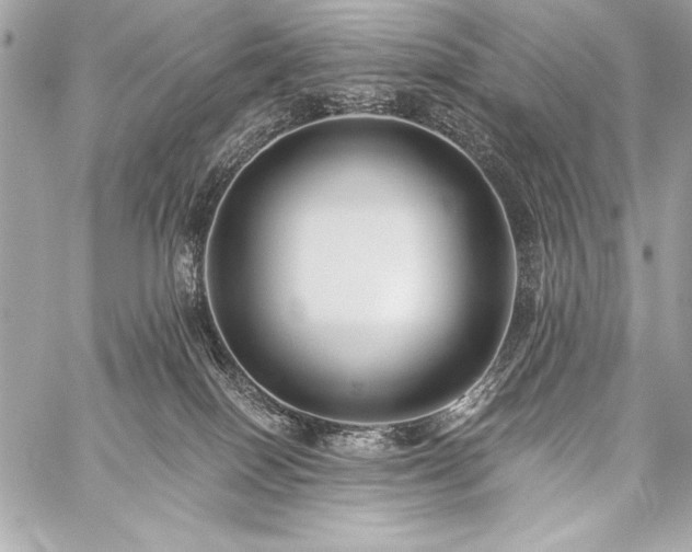 X0000059240086200510141113