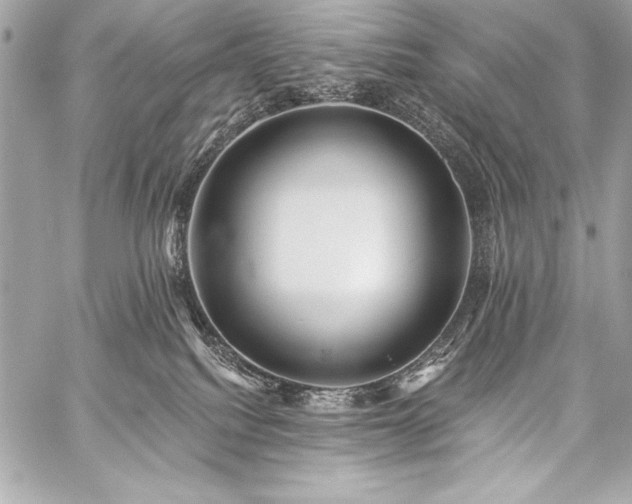 X0000059240088200510141113