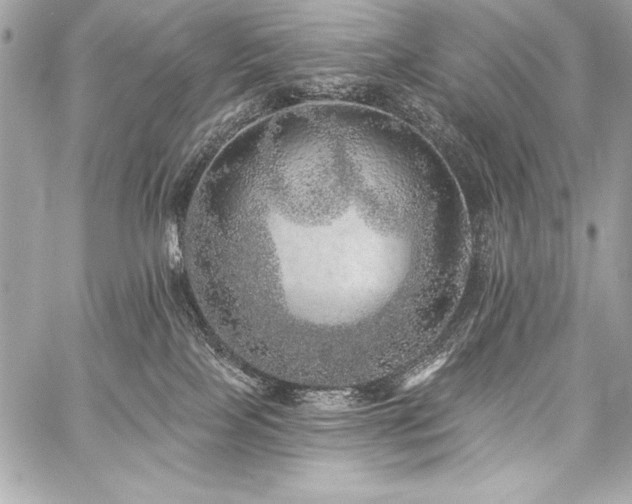 X0000059240089200510141113