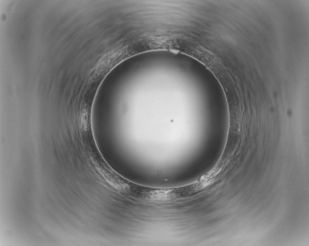 X0000059240090200510141113