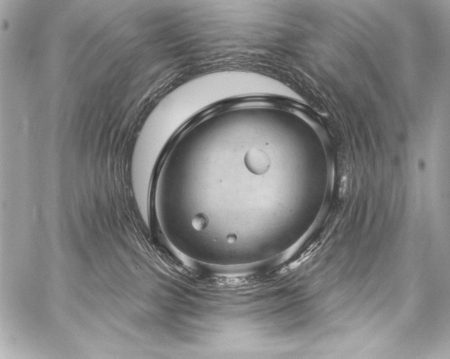 X0000059240091200510141113