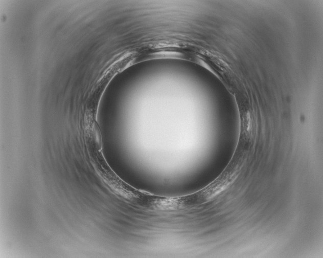 X0000059240092200510141114