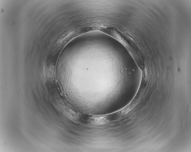 X0000059240093200510141114