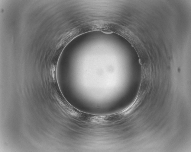 X0000059240094200510141114