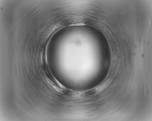 X0000059240096200510141114