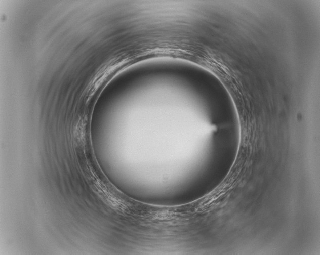 X0000059240098200510141113