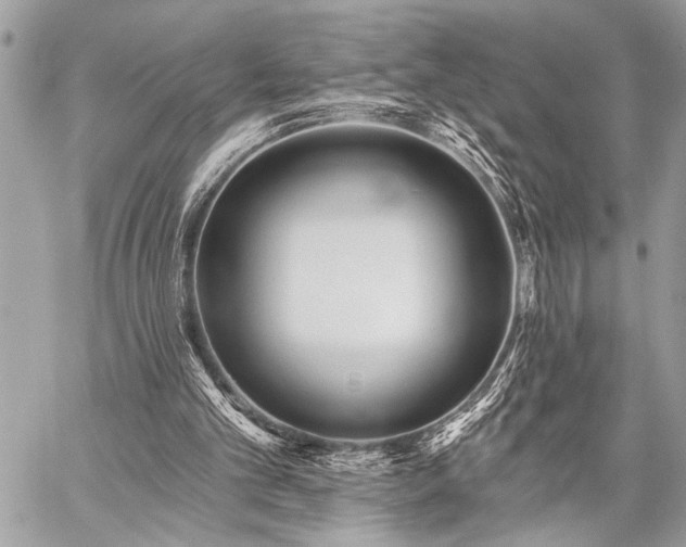 X0000059240101200510141113