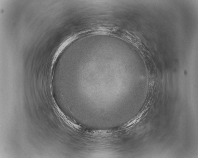 X0000059240102200510141113