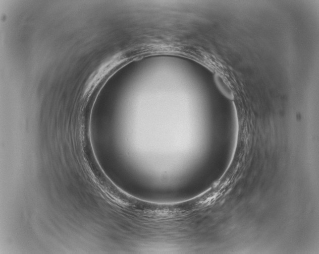 X0000059240103200510141113