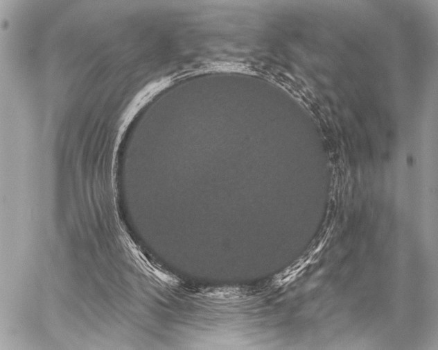 X0000059240104200510141113