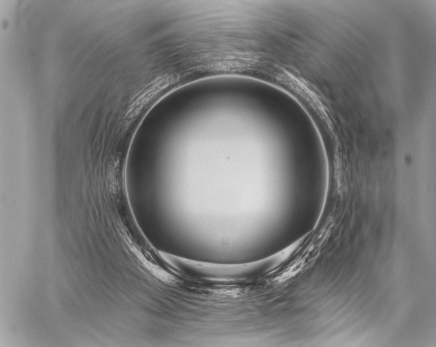 X0000059240105200510141113