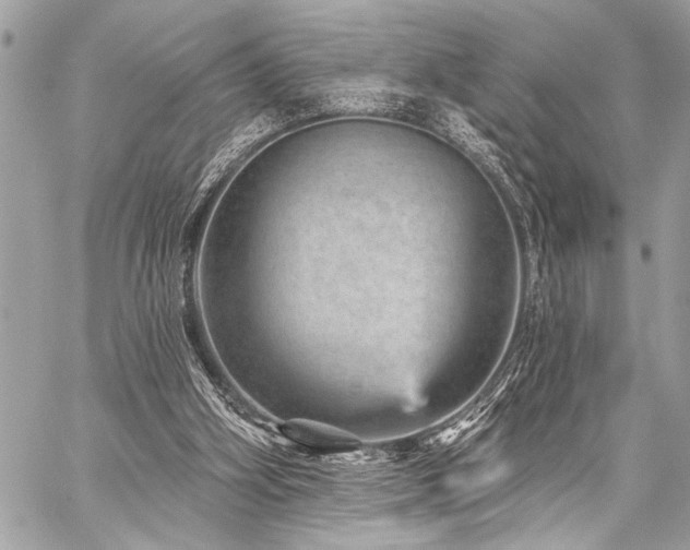 X0000059240106200510141113