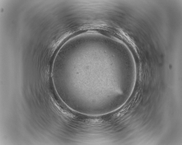 X0000059240107200510141113