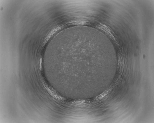 X0000059240110200510141113