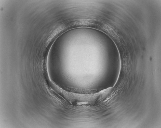 X0000059240111200510141113