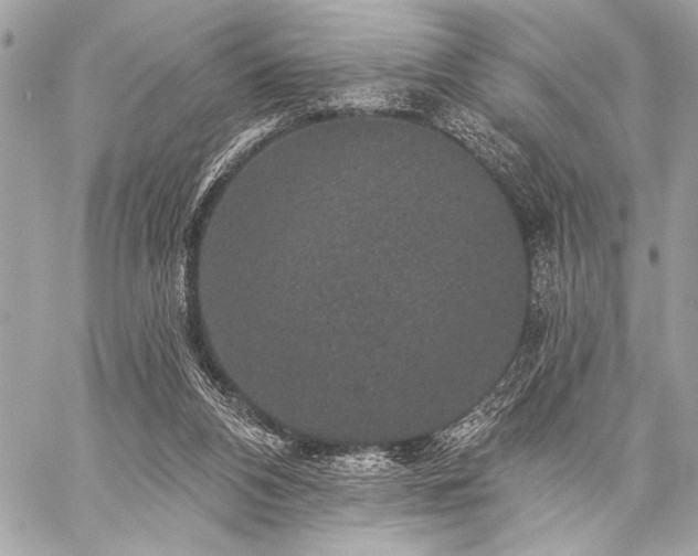 X0000059240112200510141113