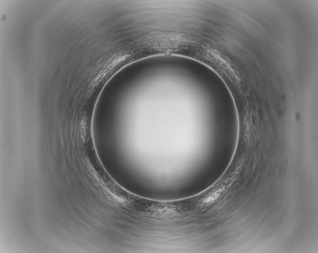 X0000059240113200510141113