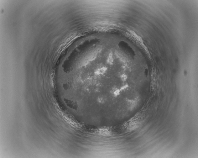 X0000059240114200510141113