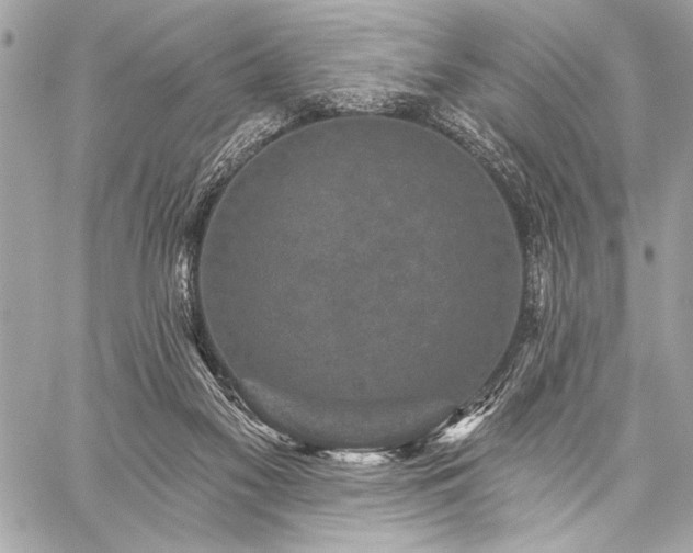 X0000059240117200510141112