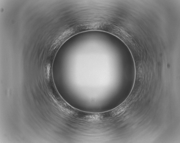 X0000059240118200510141112