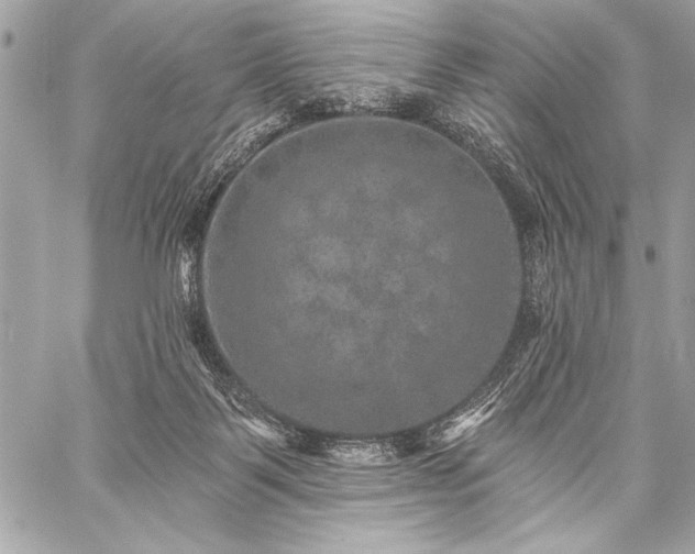 X0000059240123200510141112