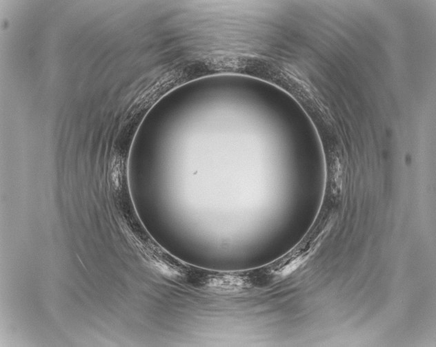 X0000059240125200510141112